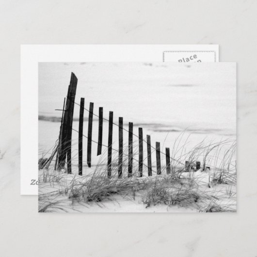 Dune Fence in Snow Briefkaart (Voorkant / Achterkant)