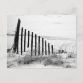 Dune Fence in Snow Briefkaart (Voorkant)