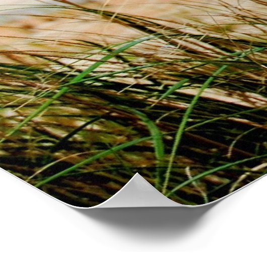 Dune Grass & Atlantic Ocean Poster (Hoek)