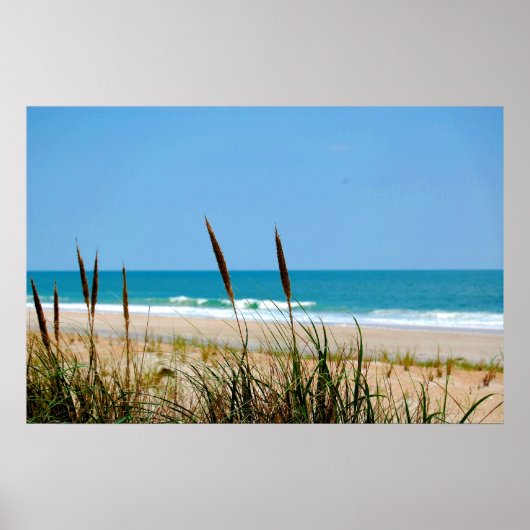 Dune Grass & Atlantic Ocean Poster (Voorkant)