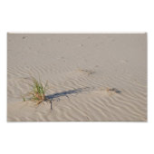 Dune Grass op het strand Foto Afdruk (Voorkant)