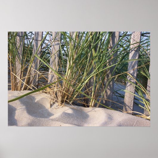 Dune Grass Poster (Voorkant)
