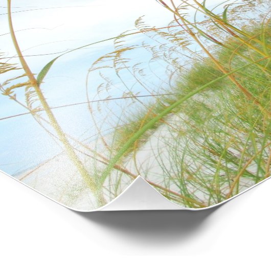 Dune Grass White Sand Beach Foto Afdruk (Hoek)