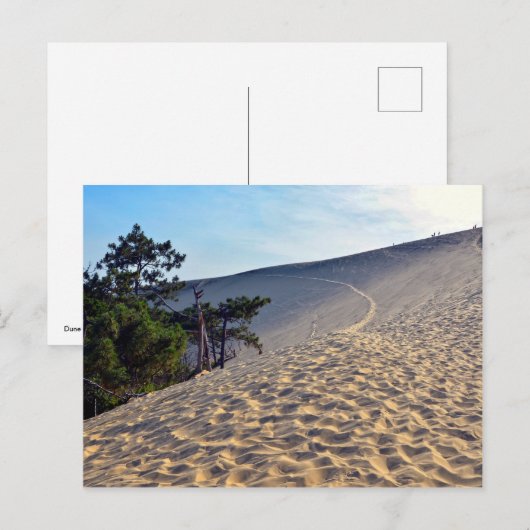 Dune of Pilat in Frankrijk Briefkaart (Voorkant / Achterkant)