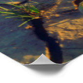 Dune Primrose groeit uit Cracked Mud Poster (Hoek)
