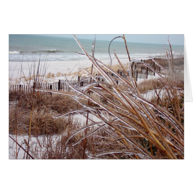 Dune-sicle (Voorkant Horizontaal)