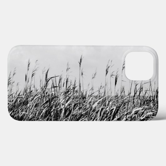 Dune Triptych III Case-Mate iPhone Case (Achterkant (horizontaal))