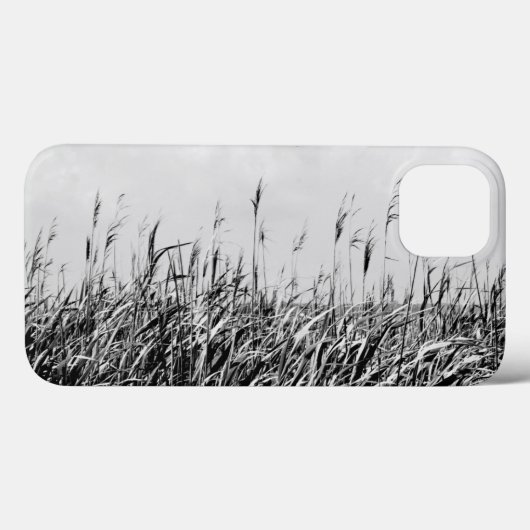 Dune Triptych III Case-Mate iPhone Case (Achterkant (horizontaal))