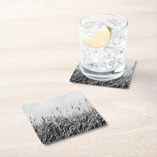 Dune Triptych III Kartonnen Onderzetters (Insitu)