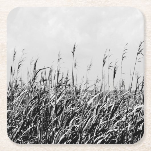 Dune Triptych III Kartonnen Onderzetters (Voorkant)