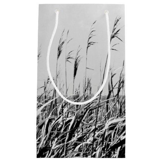 Dune Triptych III Klein Cadeauzakje (Voorkant)