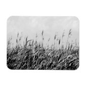 Dune Triptych III Magneet (Horizontaal)