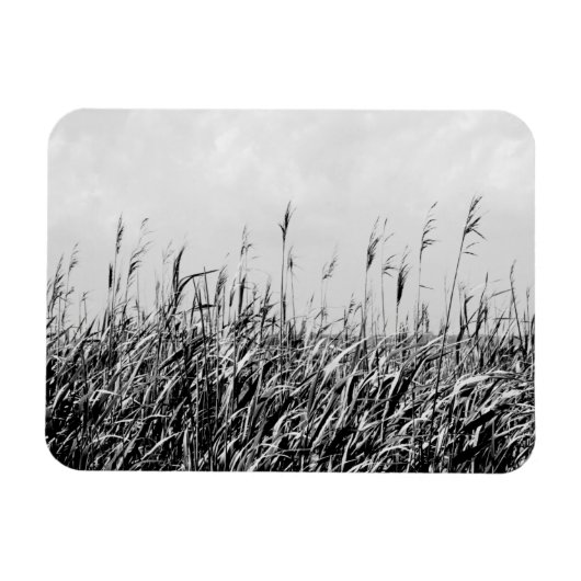 Dune Triptych III Magneet (Horizontaal)