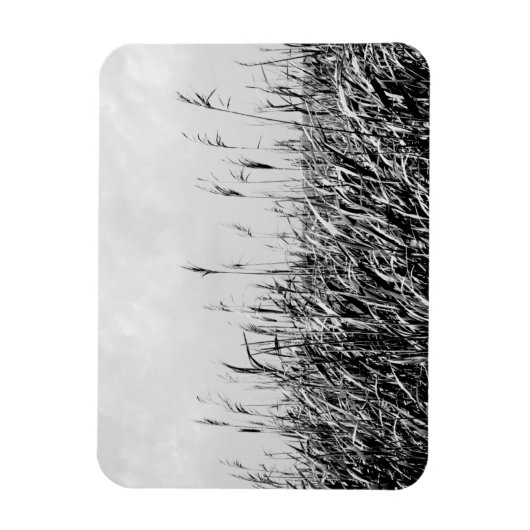 Dune Triptych III Magneet (Verticaal)