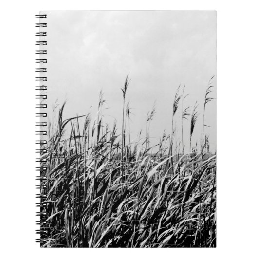 Dune Triptych III Notitieboek (Voorkant)