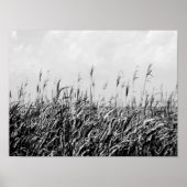 Dune Triptych III Poster (Voorkant)