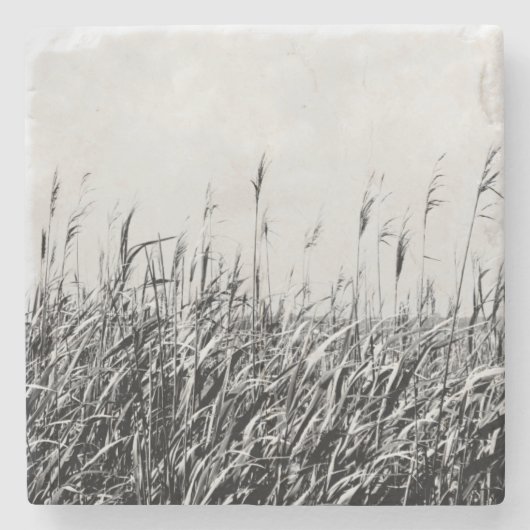 Dune Triptych III Stenen Onderzetter (Voorkant)