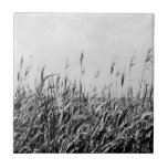 Dune Triptych III Tegeltje<br><div class="desc">ThuisDécor</div>