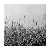 Dune Triptych III Tegeltje (Voorkant)