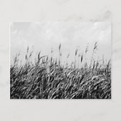 Dune Triptyp III Briefkaart (Voorkant)