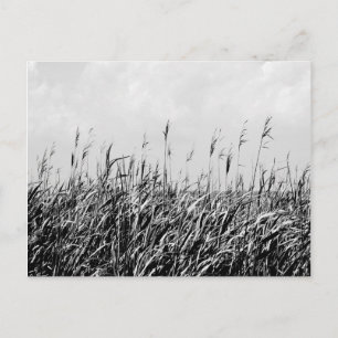 Dune Triptyp III Briefkaart