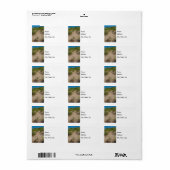 Dune van Zee haver Etiket (Full Sheet)