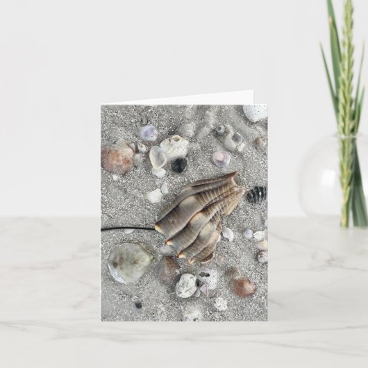 Dunedin Beach Florida Briefkaart (Voorkant)