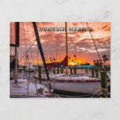 Dunedin Marina Sunset Florida Briefkaart (Voorkant)