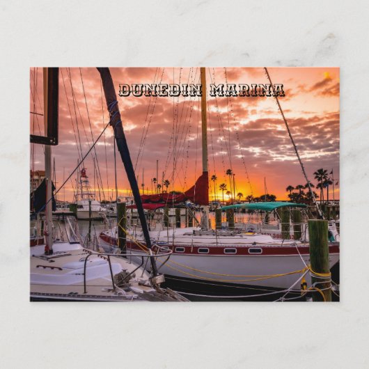 Dunedin Marina Sunset Florida Briefkaart (Voorkant)