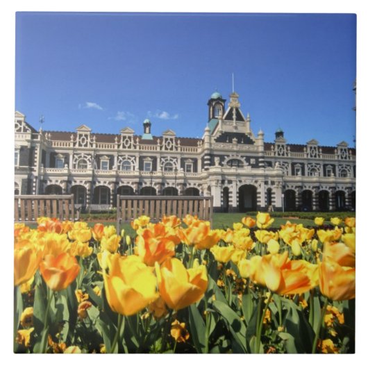 Dunedin Railway Station Tegeltje (Voorkant)