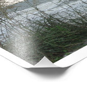 Dunegrass Foto Afdruk (Hoek)