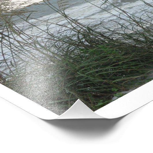 Dunegrass Foto Afdruk (Hoek)