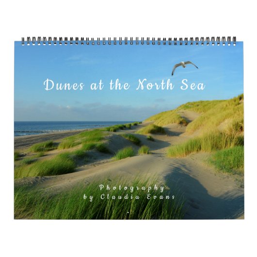 Dünen an der Nordsee Kalender (Hoes)