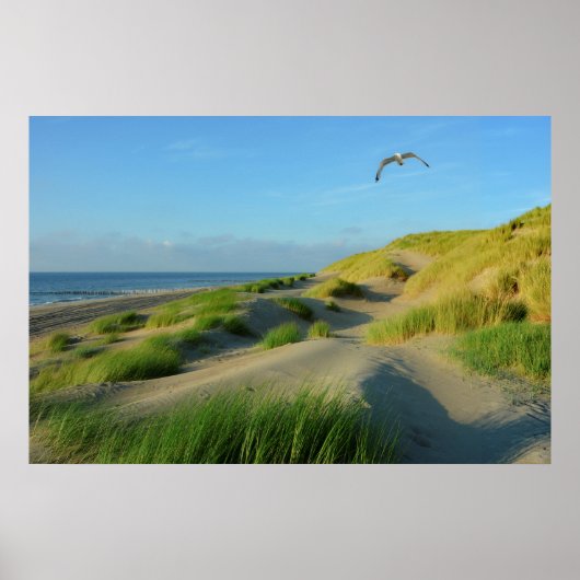 Dünen an der Nordsee Poster (Voorkant)