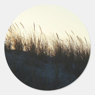 Dunes bij Sundown IBSP NJ Coördinerende items Ronde Sticker