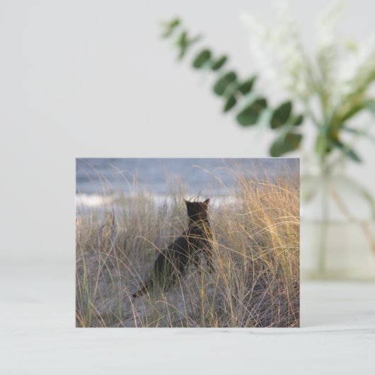 Dunes Cat Briefkaart (Staand voorkant)