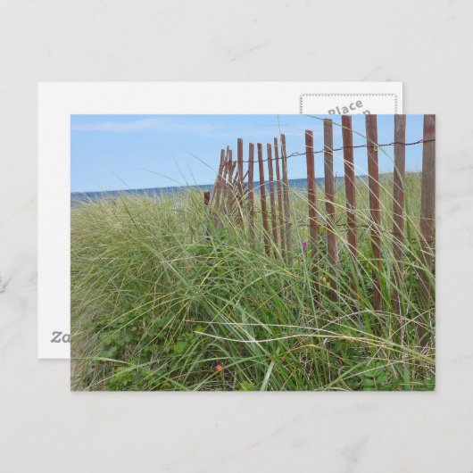 Dunes of Cape Cod Briefkaart (Voorkant / Achterkant)