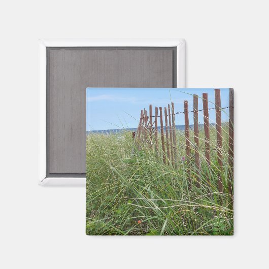 Dunes of Cape Cod Magneet (Voorkant / Achterkant)