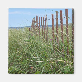 Dunes of Cape Cod Magneet