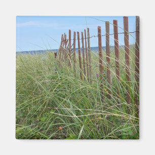 Dunes of Cape Cod Magneet