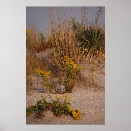 Dunes Poster (Voorkant)