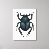 Dung beetle canvas afdruk (Voorkant)