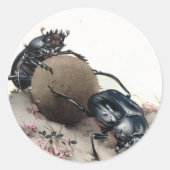 Dung Bettle Ronde Sticker (Voorkant)