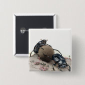 Dung Bettle Vierkante Button 5,1 Cm (Voorkant /achterkant)