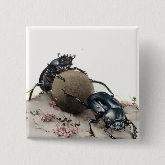 Dung Bettle Vierkante Button 5,1 Cm (Voorkant)