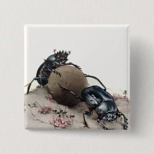 Dung Bettle Vierkante Button 5,1 Cm