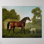 Dungannon, eigendom van kolonel O'Kelly Poster (Voorkant)