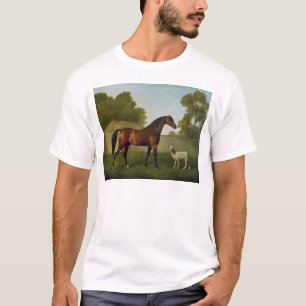 Dungannon, eigendom van kolonel O'Kelly T-shirt