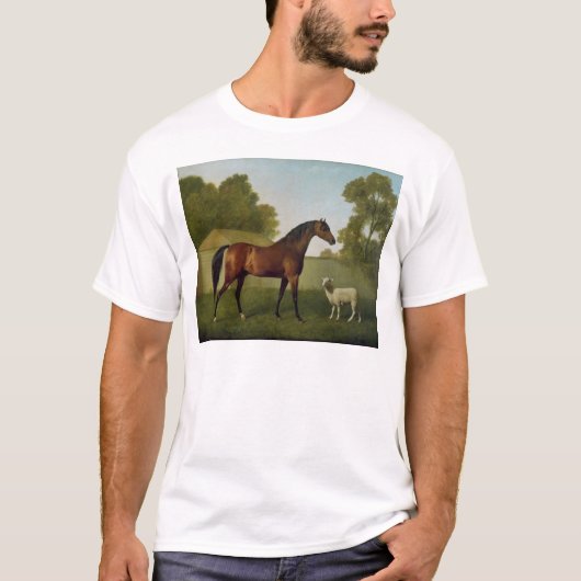 Dungannon, eigendom van kolonel O'Kelly T-shirt (Voorkant)