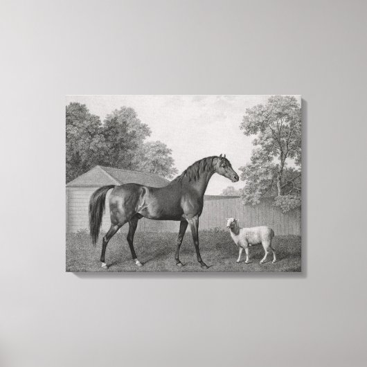 Dungannon, gegraveerd door George Townley Stubbs ( Canvas Afdruk (Voorkant)